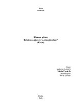 Biznesa plāns 'Biznesa plāns - reklāmas aģentūra', 1.