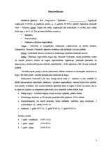 Biznesa plāns 'Biznesa plāns - reklāmas aģentūra', 3.