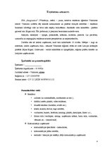 Biznesa plāns 'Biznesa plāns - reklāmas aģentūra', 4.