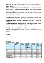 Biznesa plāns 'Biznesa plāns - reklāmas aģentūra', 11.