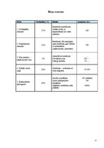 Biznesa plāns 'Biznesa plāns - reklāmas aģentūra', 15.