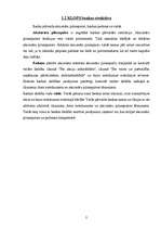 Referāts 'Uzņēmuma iekšējais audits', 2.