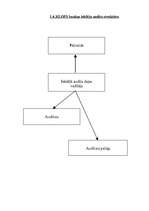 Referāts 'Uzņēmuma iekšējais audits', 4.