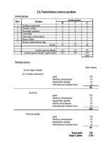 Referāts 'Uzņēmuma iekšējais audits', 20.