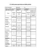 Referāts 'Uzņēmuma iekšējais audits', 31.