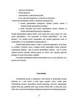 Referāts 'Sociālā darba attīstība', 15.