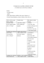 Konspekts 'Dažādu personu intervijas un uzstāšanas plašsaziņas līdzekļos', 4.