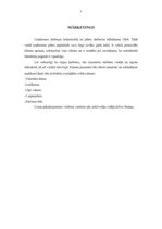 Biznesa plāns 'Biznesa plāns krodziņam "Evita"', 13.