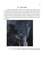 Konspekts 'Laikmetīgās mākslas pārstāvju top desmit', 16.