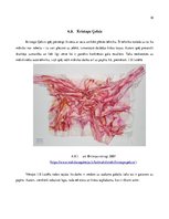 Konspekts 'Laikmetīgās mākslas pārstāvju top desmit', 18.