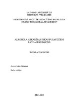 Diplomdarbs 'Alkohola atkarības sekas pusaudžiem Latgales reģionā', 2.
