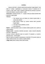 Diplomdarbs 'Alkohola atkarības sekas pusaudžiem Latgales reģionā', 3.