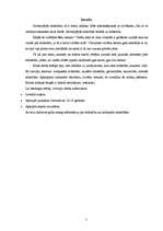 Referāts 'Mīlestība jauniešu savstarpējās attiecībās', 1.