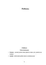 Referāts 'Mīlestība jauniešu savstarpējās attiecībās', 25.