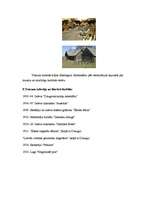 Referāts 'Francis Trasuns', 4.