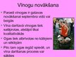 Prezentācija 'Vīna ražošana', 5.