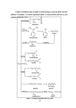 Konspekts 'Alkēni', 16.