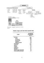 Referāts 'Pasaules reliģijas', 5.