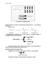 Konspekts 'Diēni un arēni', 2.