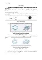 Konspekts 'Diēni un arēni', 4.