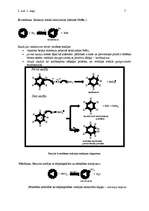 Konspekts 'Diēni un arēni', 7.