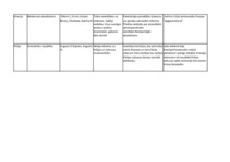 Konspekts 'Eiropas valstis 18.gadsimtā', 2.