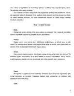 Konspekts 'Vitamīni', 4.