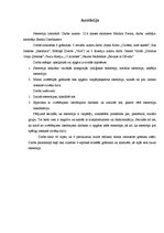 Referāts 'Stereotipi literatūrā', 2.