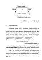 Referāts 'Izmaksas kā cenu veidošanas bāze uzņēmuma produktam', 16.