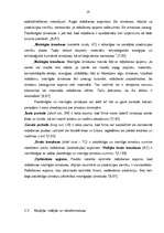 Referāts 'Izmaksas kā cenu veidošanas bāze uzņēmuma produktam', 19.