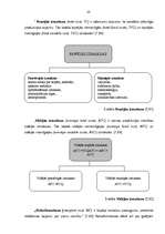 Referāts 'Izmaksas kā cenu veidošanas bāze uzņēmuma produktam', 20.