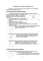 Referāts 'Attiecības starp jēdzieniem', 7.