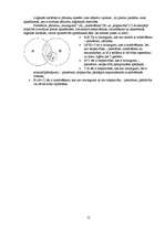 Referāts 'Attiecības starp jēdzieniem', 12.