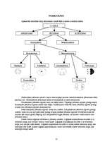 Referāts 'Attiecības starp jēdzieniem', 13.