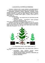 Referāts 'Allelopātija - svarīgs augu attīstību ietekmējošs mehānisms', 3.