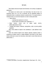 Referāts 'Šauto bojājumu raksturojums tiesu medicīnā', 3.