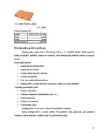 Referāts 'Iepakojums saldajam un skābajam krējumam', 22.