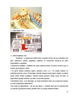 Referāts 'Iepakojums saldajam un skābajam krējumam', 27.