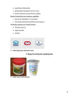 Referāts 'Iepakojums saldajam un skābajam krējumam', 35.