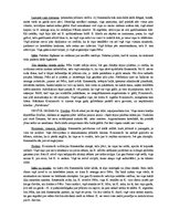 Konspekts 'Parīzes Dievmātes katedrāle', 6.