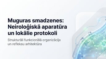Prezentācija 'Muguras smadzenes: neiroloģiskā aparatūra un lokālie protokoli', 1.