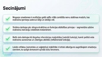 Prezentācija 'Muguras smadzenes: neiroloģiskā aparatūra un lokālie protokoli', 15.