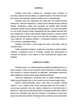 Referāts 'Cilmes šūnas', 4.