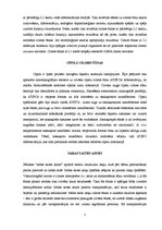 Referāts 'Cilmes šūnas', 5.