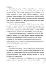 Prakses atskaite 'Prakse kriminālpolicijā', 3.