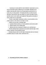 Referāts 'Citvalodu īpašvārdu atveide latviešu valodā', 3.