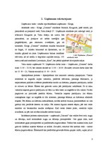 Biznesa plāns 'Viesmīlības uzņēmuma tehnoloģiskais projekts', 6.