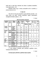 Biznesa plāns 'Viesmīlības uzņēmuma tehnoloģiskais projekts', 21.