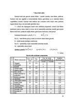 Biznesa plāns 'Viesmīlības uzņēmuma tehnoloģiskais projekts', 29.