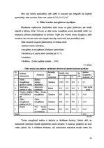 Biznesa plāns 'Viesmīlības uzņēmuma tehnoloģiskais projekts', 38.